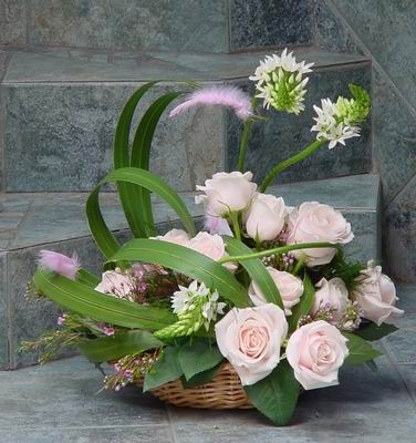 predivna korpica belih ruža