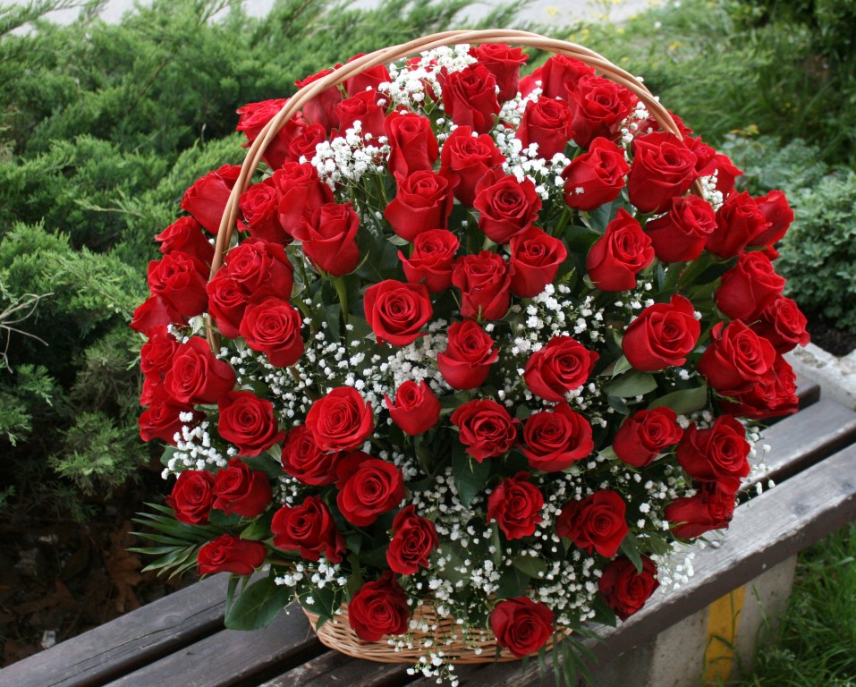 velika buket korpa crvenih ruža